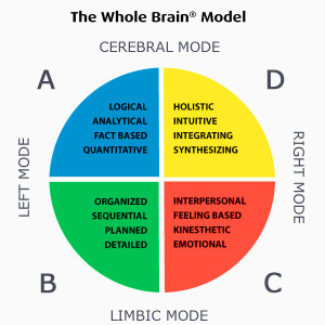 Whole Brain Model